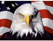 DỊCH VỤ VISA MỸ